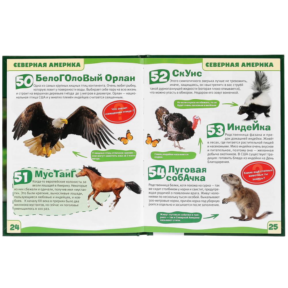 Животные. 100 фактов (Энциклопедия с развивающими заданиями А5). 165х215мм. Умка в кор.22шт