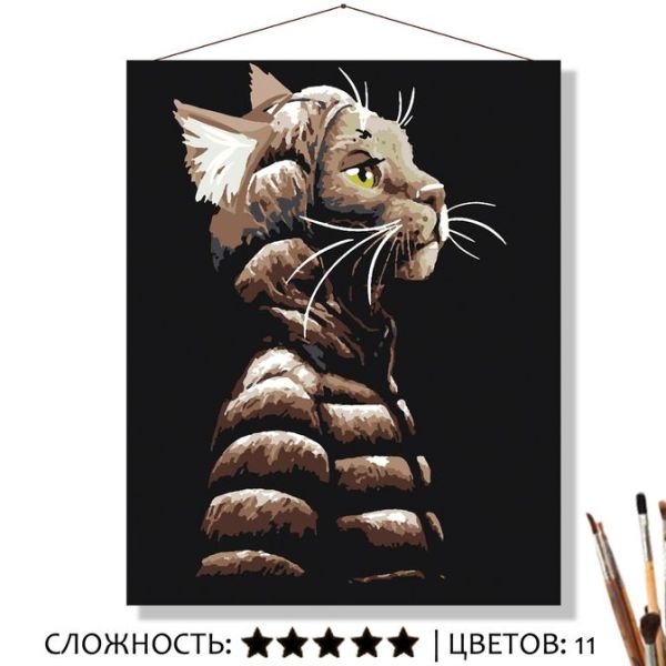 Картина по номерам на холсте 50х40 "В капюшоне"