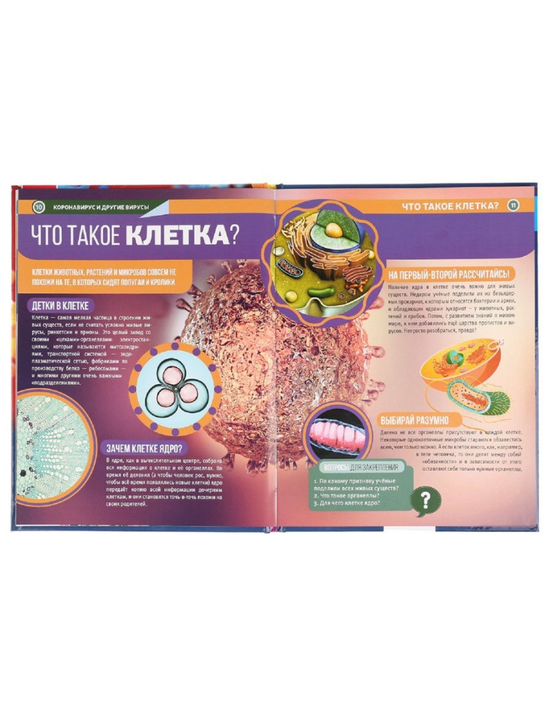"УМКА". КОРОНАВИРУС И ДРУГИЕ ВИРУСЫ. 100 ФАКТОВ (ЭНЦИКЛОПЕДИЯ С РАЗВИВАЮЩ. ЗАДАНИЯМИ, А5) в кор.22шт
