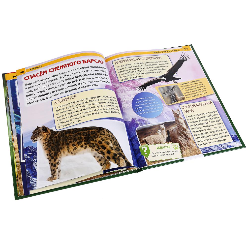 Животные. (Энциклопедия А4 с развивающими заданиями). Формат: 197х255 мм. 48 стр. Умка в кор.15шт