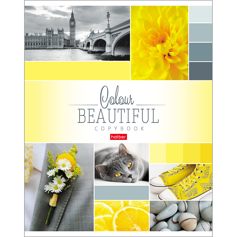 Тетрадь А5 96 л. клетка ХАТБЕР "BEAUTIFUL COLOUR", скоба (1/6/60) (96Т5В1) (046858)