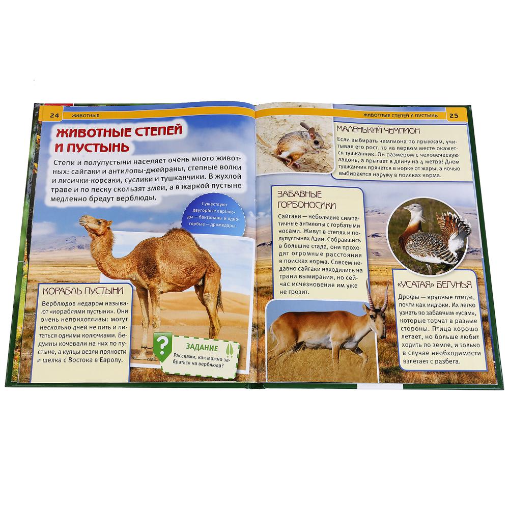 Животные. (Энциклопедия А4 с развивающими заданиями). Формат: 197х255 мм. 48 стр. Умка в кор.15шт