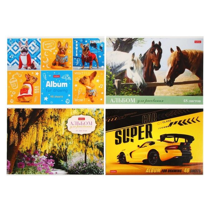 Альбом для рисования ХАТБЕР А4 48 листов "АССОРТИ.ВЫПУСК №2" скоба (074788)