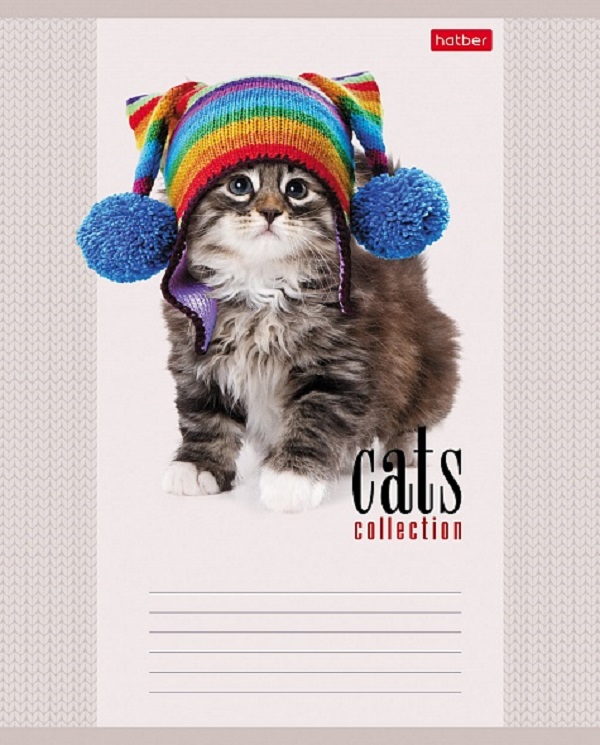 Тетрадь А5 12 л. клетка ХАТБЕР "КОТОТЕРАПИЯ", скоба (1/20/280) (12Т5В1_КОТОТЕРАПИЯ) (058038)