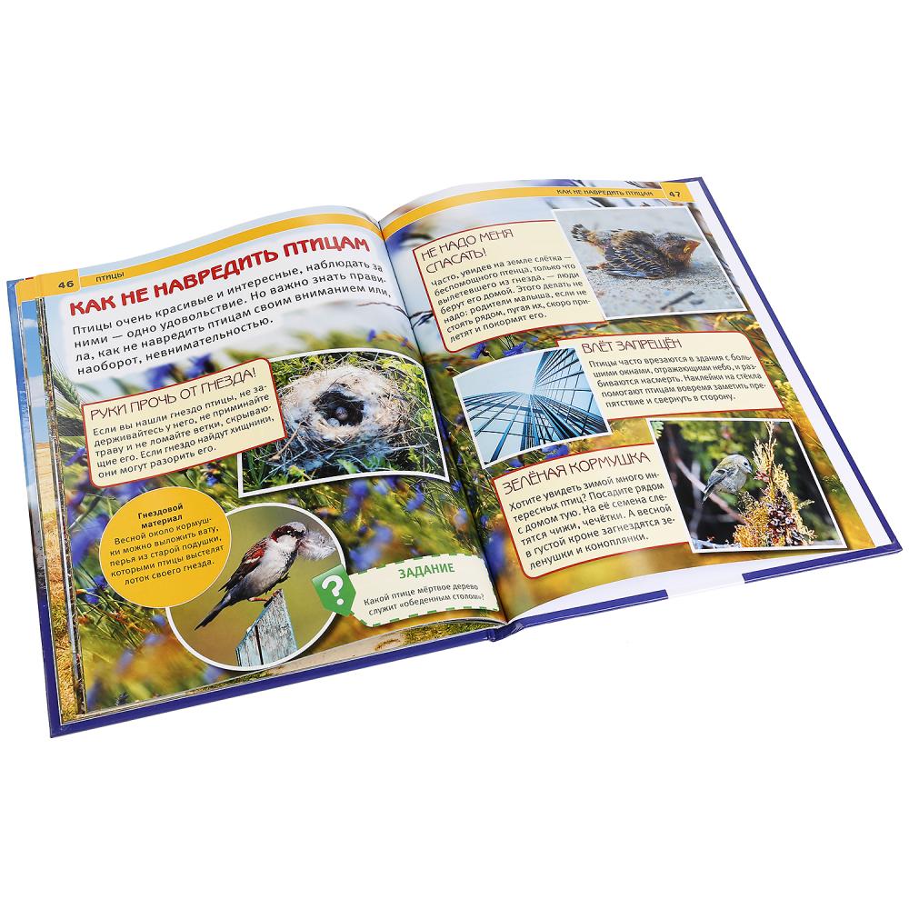 Птицы. (Энциклопедия А4 с развивающими заданиями). Формат: 197х255 мм. 48 стр. Умка в кор.15шт