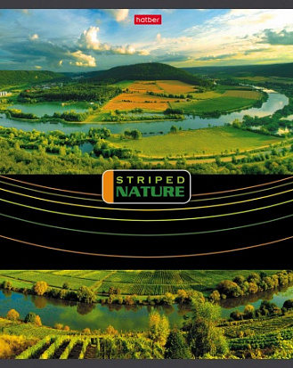 Тетрадь 96л линия Полосатый мир Hatber 96Т5В2\6\60