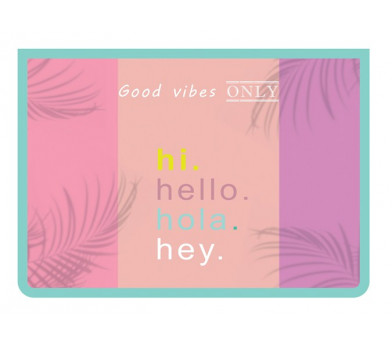 Папка для тетрадей А4 ПЧЕЛКА "HELLO 2022" пластик, молния (ПМ-А4-29 HELLO 2022) (1/50)