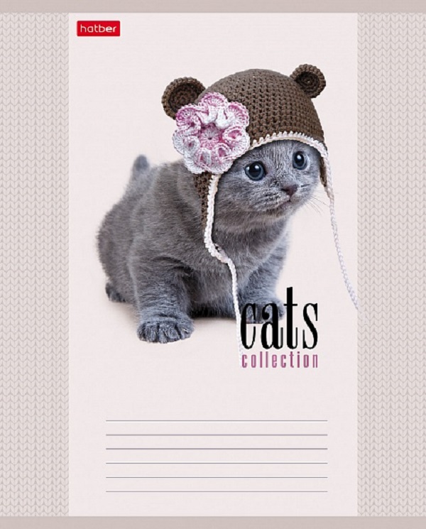 Тетрадь А5 12 л. клетка ХАТБЕР "КОТОТЕРАПИЯ", скоба (1/20/280) (12Т5В1_КОТОТЕРАПИЯ) (058038)