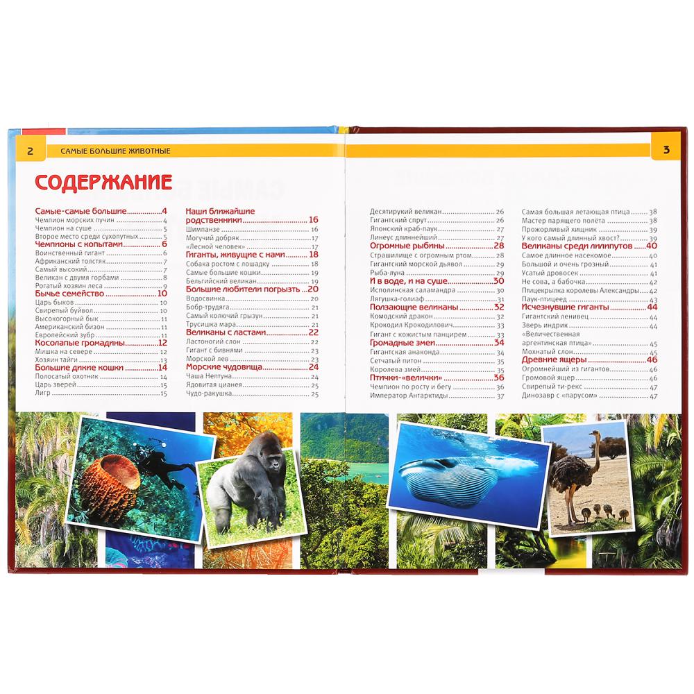 Самые большие животные. (Энциклопедия А4 с развивающими заданиями). 48 стр. Умка в кор.15шт
