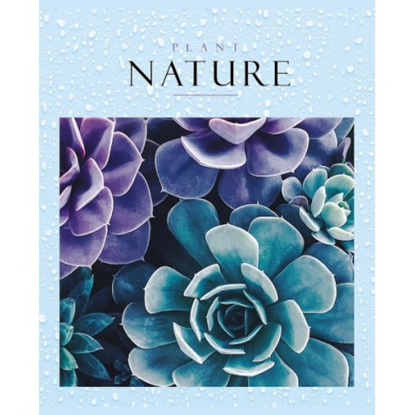 Тетрадь А5 48 л. клетка D кл. ХАТБЕР "NATURE", скоба, бум.второй блок (075860) (8/80)