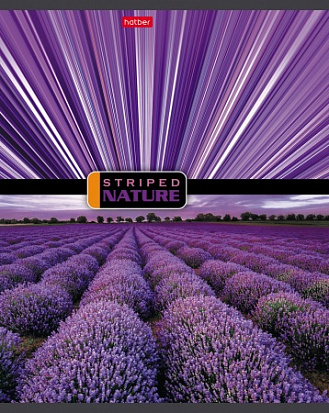 Тетрадь 96л линия Полосатый мир Hatber 96Т5В2\6\60